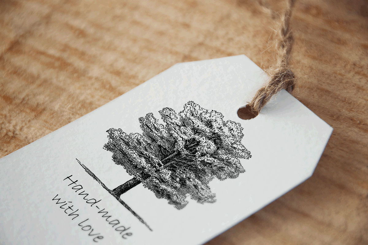 35 Trees PNG, an Object Graphic by Alexandra Fulger (Photo 5 of 6)