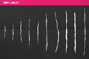 PUNK - Affinity Designer Assets, an Object Graphic by Green Room Media (Thumbnail 17 of 23)