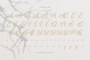 Velocity Romantica Calligraphy Font, a Script Font by Denustudios (Thumbnail 12 of 12)