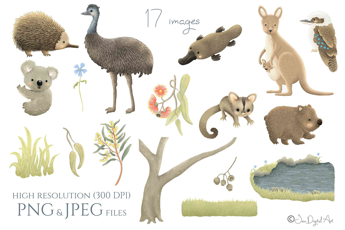 Australian Animals Collection, an Animal Illustration by Jen Digital Art (Photo 3 of 9)
