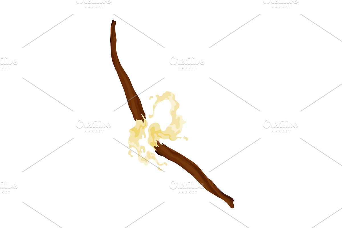 Vanilla pods or stick. Realistic, a Food Illustration by the8monkey