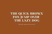 Frenia Modern Serif Typeface, a Serif Font by RantautypeStudio (Thumbnail 6 of 15)