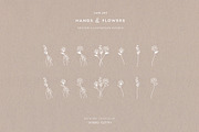 Hand and Flower Logo Elements, an Illustration by Studio Edyth (Thumbnail 4 of 4)
