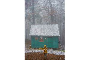 Misty morning in the woods, alone