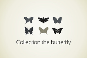 Collection The Butterfly