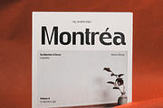Gegant Font, a Sans Serif Font by Megatype (Thumbnail 8 of 15)