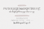 Fivety Miles, a Script Font by Forberas Club (Thumbnail 7 of 8)