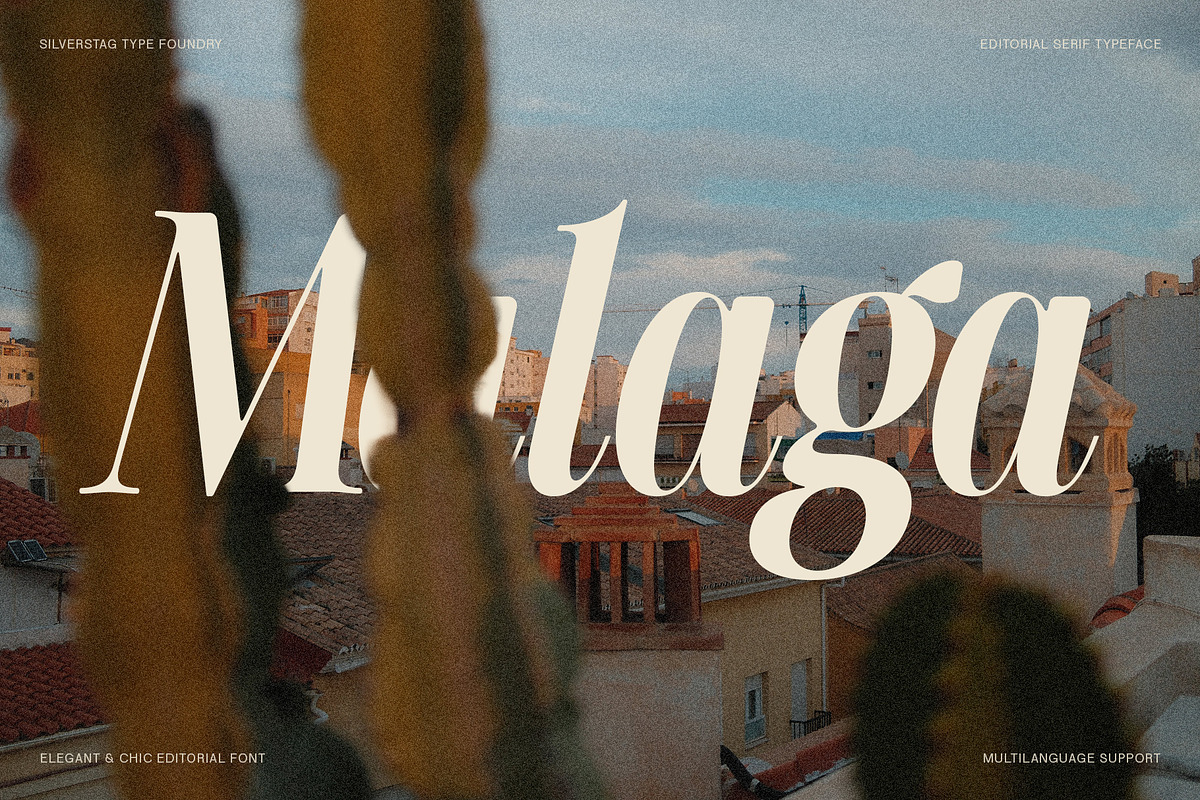 The Silver Editorial - 18 Fonts Pack, a Serif Font by SilverStag Type Foundry (Photo 18 of 30)