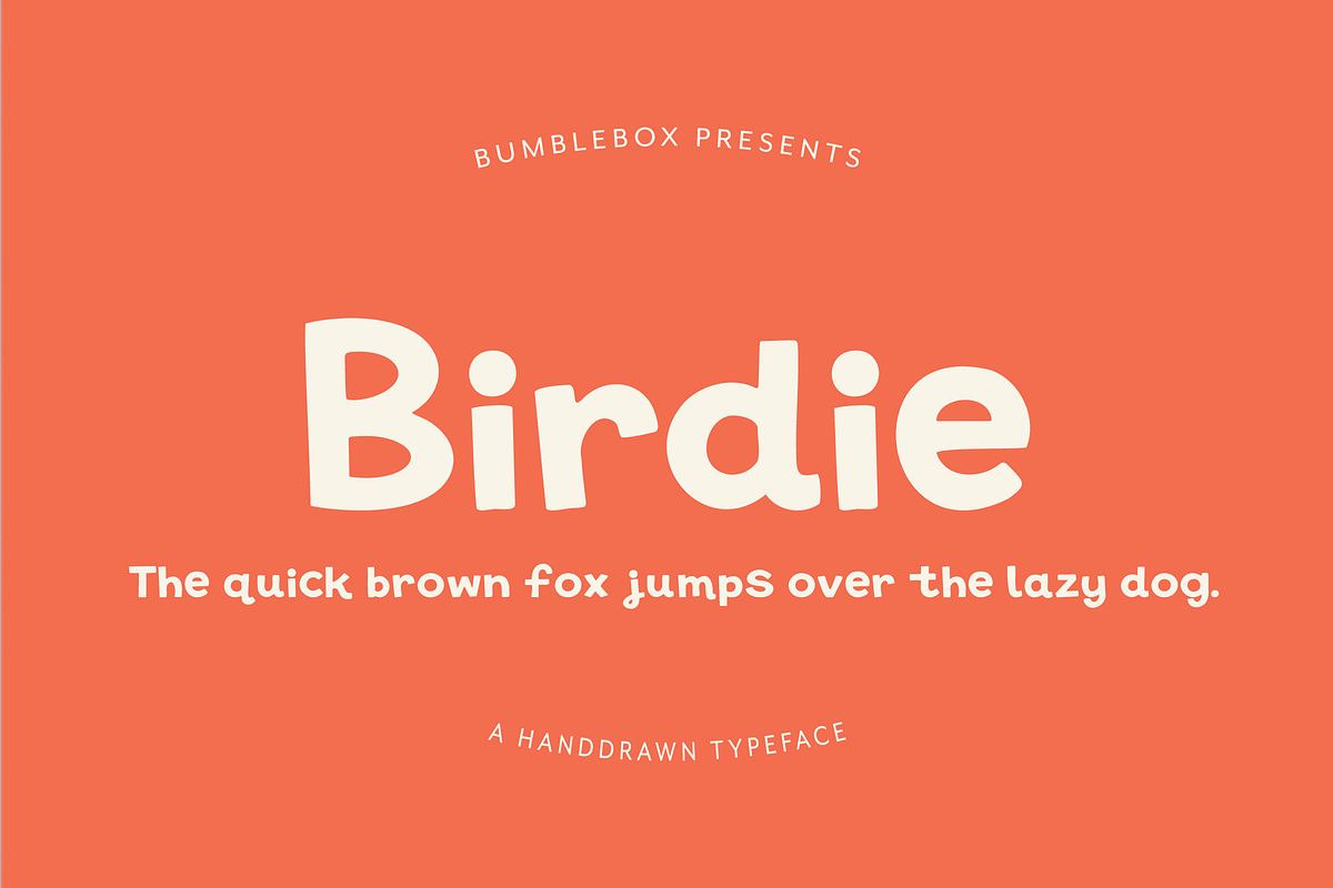 Birdie - Handdrawn Display Font, a Handwritten Font by The Bumble Box (Photo 1 of 5)