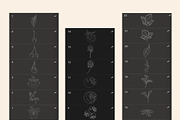 Forest Berries Digital Stamps, a Graphic by Favorites_Art (Thumbnail 3 of 6)