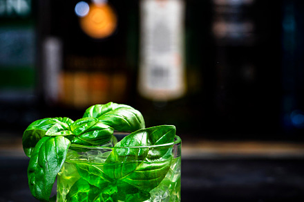 Basil smash alcoholic cocktail drink with dry gin, syrup, lemon,, a Food & Drink Photo by 5PH