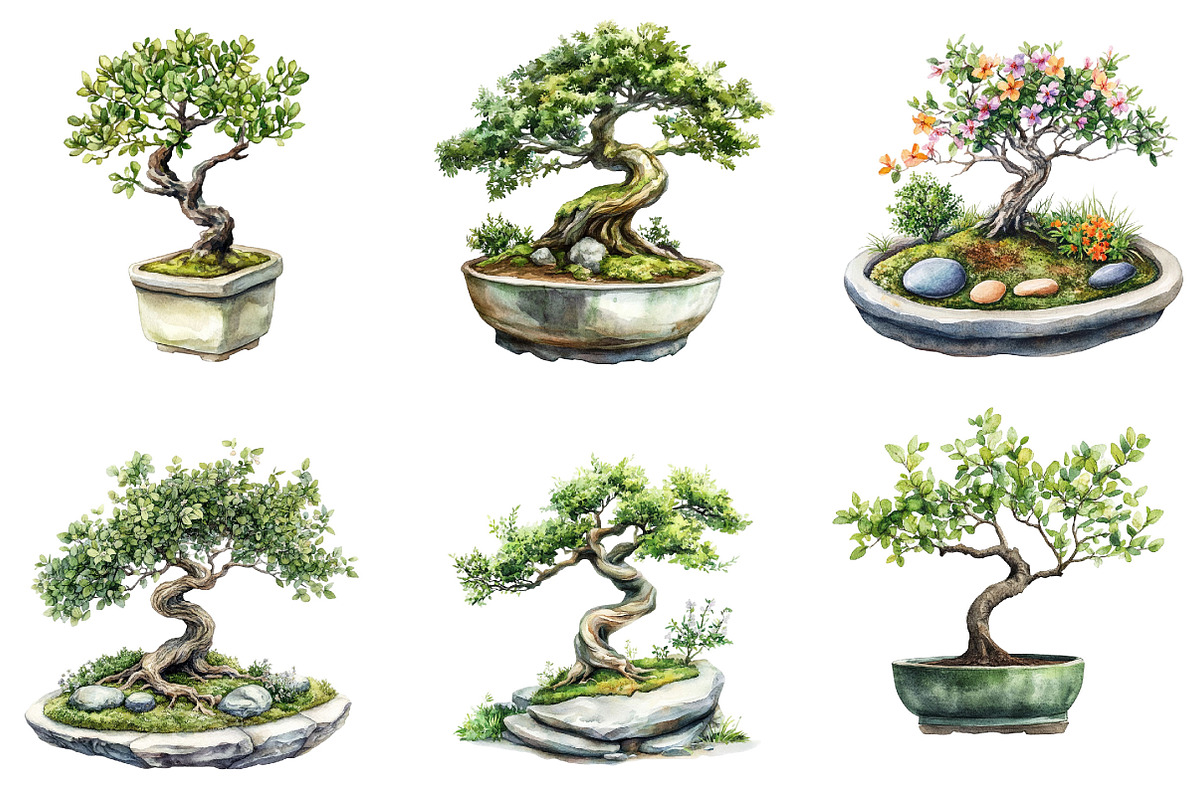 Bonsai Tree Clipart Bundle, a Seasonal Illustration by Designking (Photo 5 of 5)
