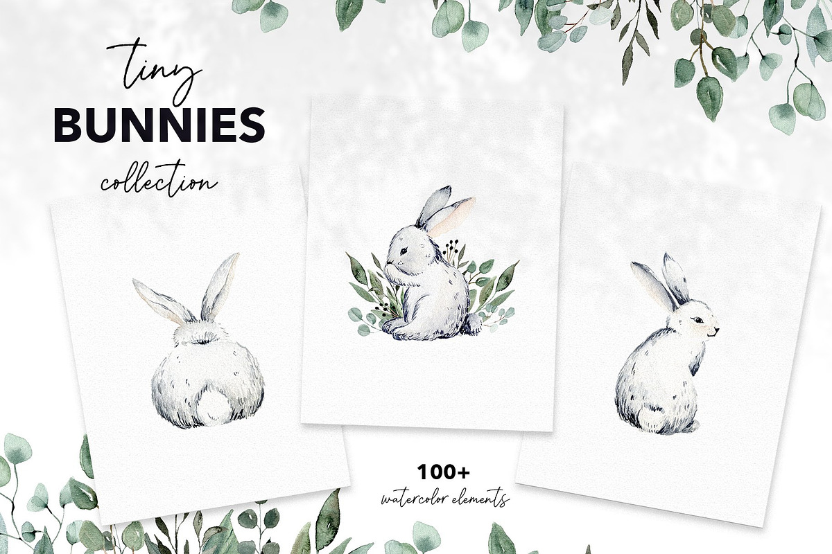 WHOLE SHOP. Watercolor bundle vol 1, an Animal Illustration by anastasiia.art (Photo 23 of 47)