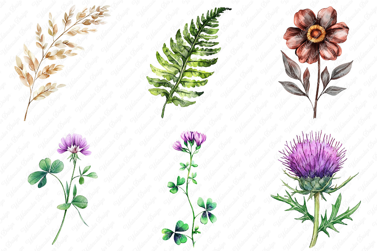 Wild Floral Clipart, Wild Floral png, an Illustration by Watercolor design (Photo 3 of 12)