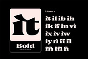 Caleit - Variable Font, a Serif Font by Get Studio (Thumbnail 3 of 20)