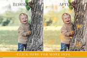 Linden Grove-falling leaves overlay, an Object Graphic by BrownLeopard (Thumbnail 3 of 4)