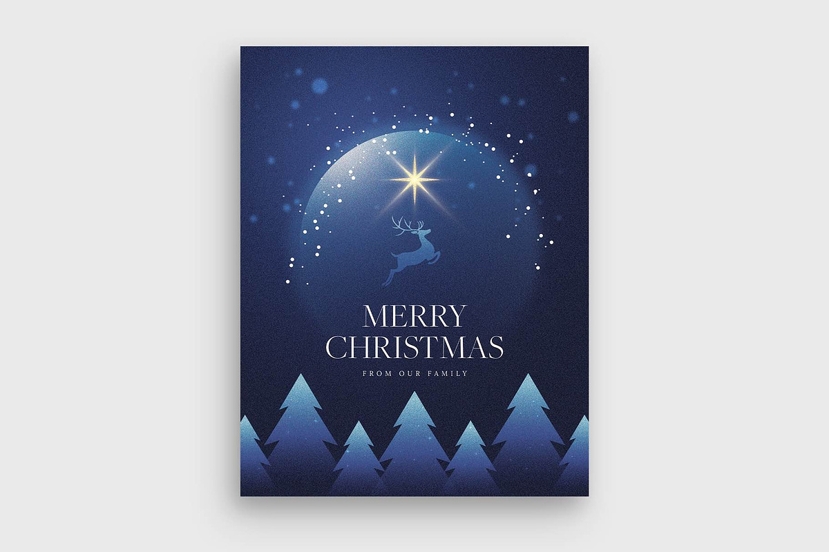 Winter Christmas Flyer Template preview 3