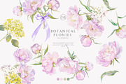 watercolor coquette pink peony set, a Decorative Illustration by Patishop Art (Thumbnail 1 of 10)