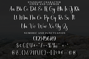 Magic Pumpkin, a Handwritten Font by FreshTypeINK (Thumbnail 4 of 8)