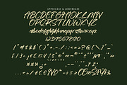 Esterdam, a Handwritten Font by operatype.co (Thumbnail 13 of 15)