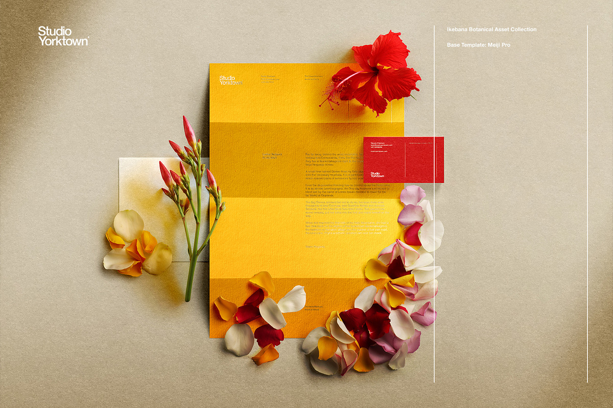 Ikebana Botanical Asset Collection, an Object Graphic by Studio Yorktown (Photo 14 of 15)