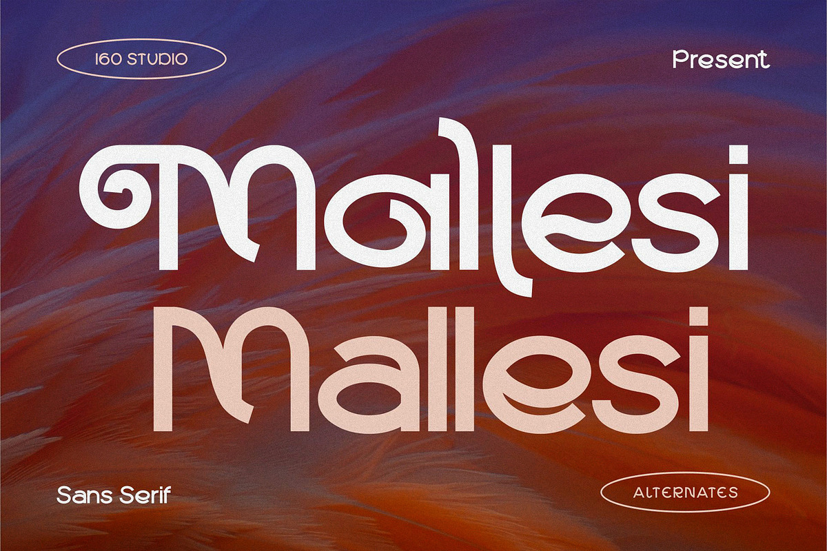 Mallesi Modern Sans, a Sans Serif Font by 160 Studio (Photo 1 of 13)