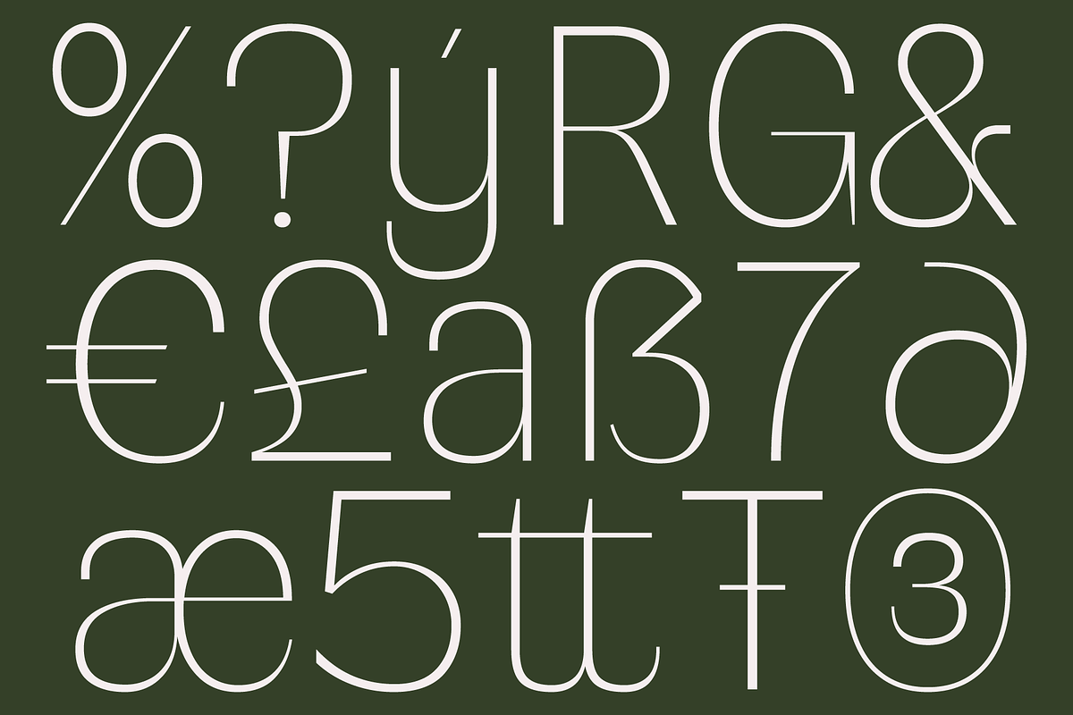 SG Verace Display Font, a Sans Serif Font by Studio Gulden (Photo 5 of 15)
