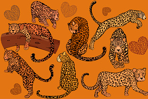 Leopards 2
