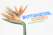 Kiriko – Layered Pattern Font, a Font by Kevin Foley Fonts (Thumbnail 6 of 13)