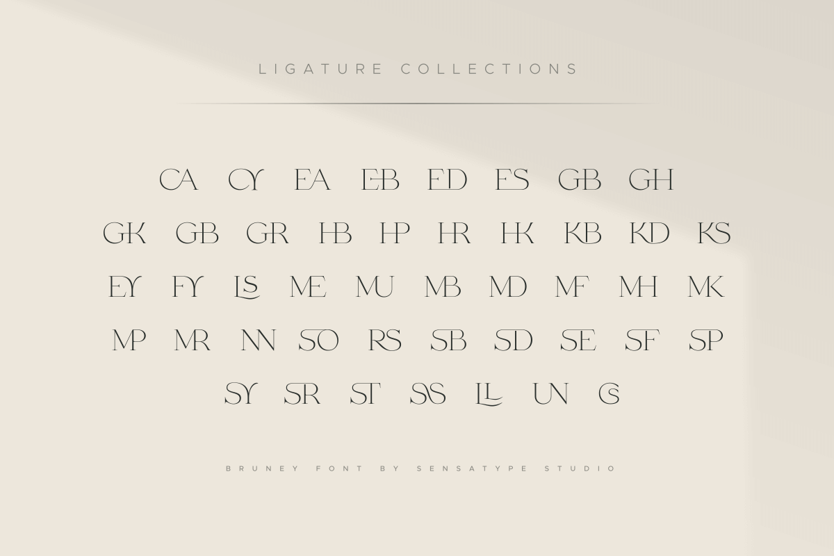 Bruney - Classy Ligature Font, a Serif Font by Sensatype (Photo 7 of 19)