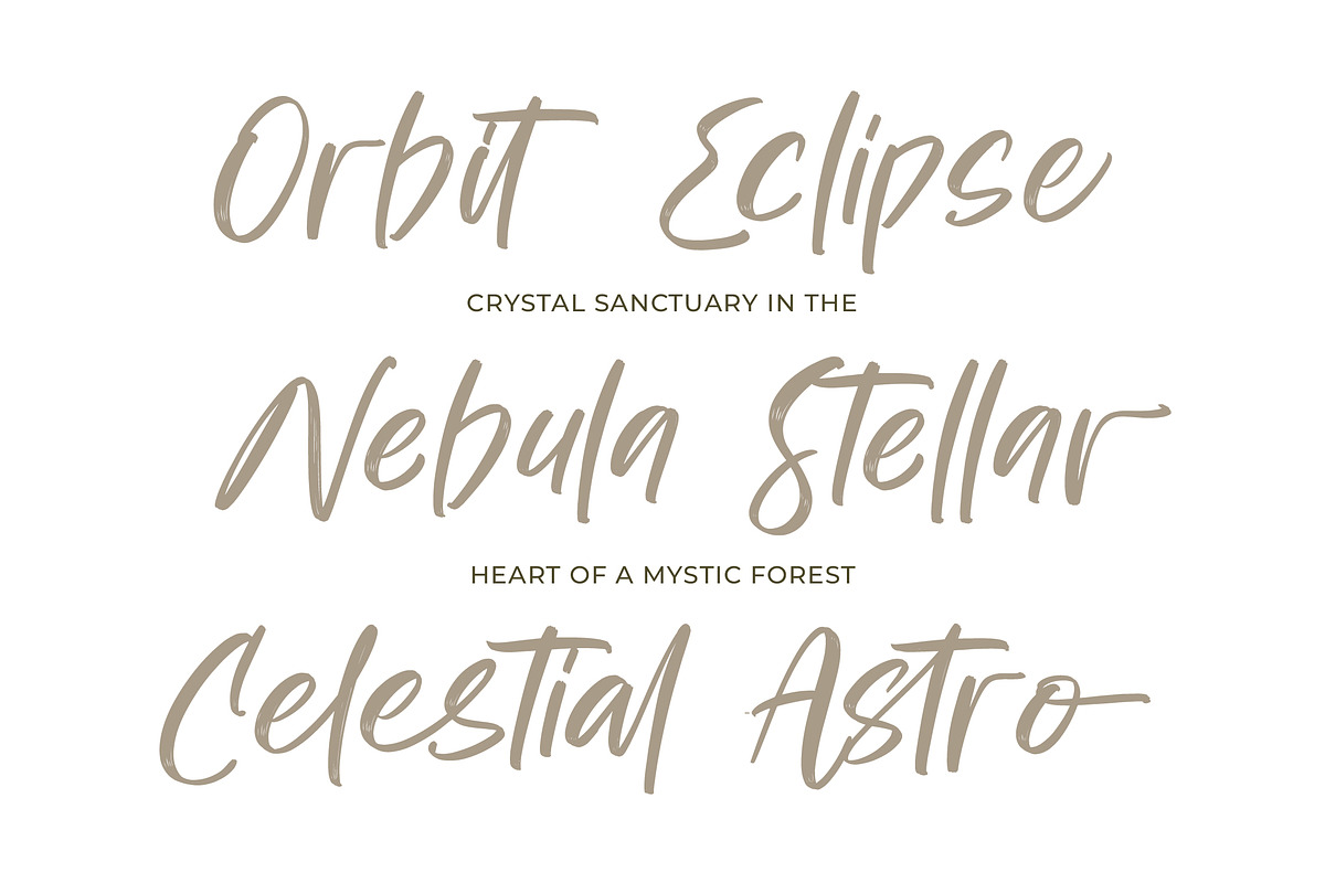 Bestovy Wisher Modern Handbrush Font, a Script Font by stylishtype.co (Photo 4 of 15)
