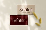 Modegi || Elegant Classy Serif Font, a Serif Font by Ermedia Studio (Thumbnail 3 of 10)