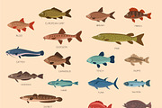 Fish and fishing set, a Graphic by Mallinka (Thumbnail 2 of 3)