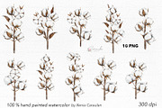 Cotton Plant Watercolor, an Object Illustration by CaraulanStore (Thumbnail 2 of 10)