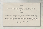 Bounthy Flow | Handwritten Script, a Script Font by Denustudios (Thumbnail 15 of 15)