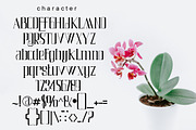 Air Leving, a Serif Font by Bramcreative (Thumbnail 5 of 10)