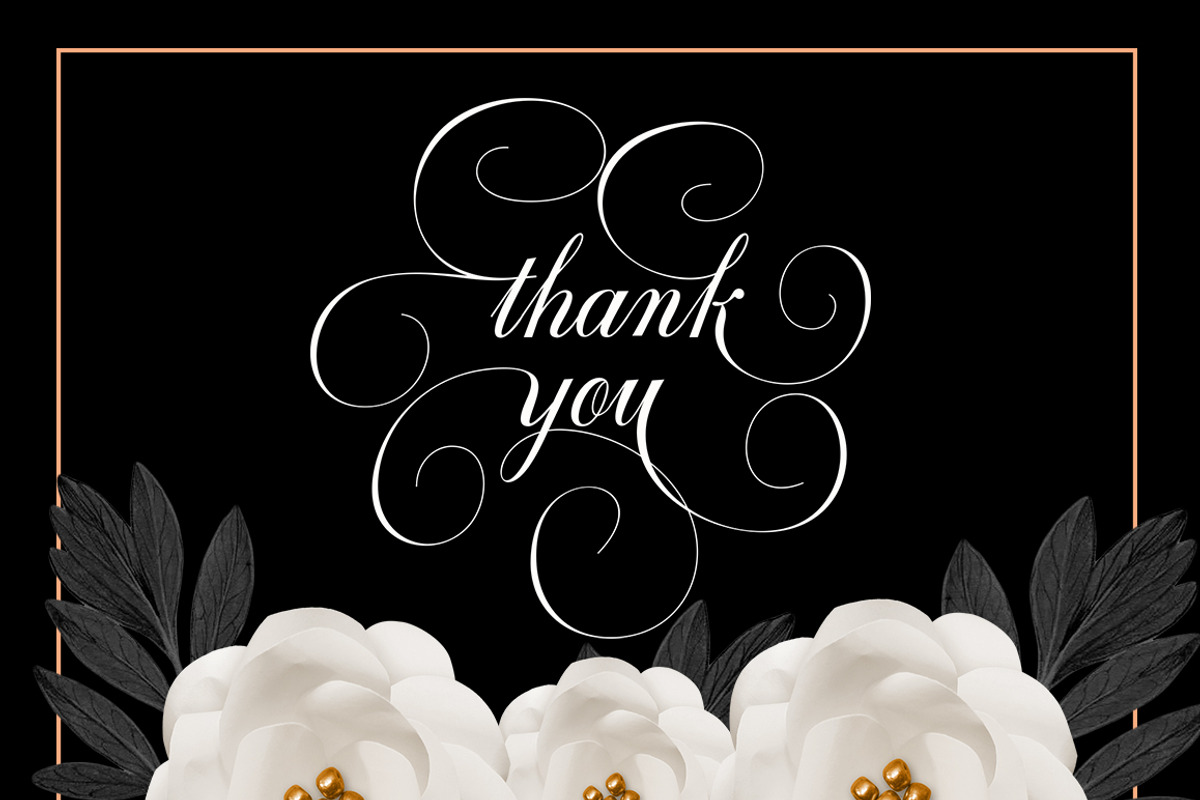 Graphitel Script + Ornaments, a Script Font by Typehill (Photo 9 of 15)