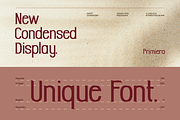 Primiera, a Sans Serif Font by Burntilldead (Thumbnail 6 of 13)