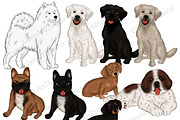 Pets Clipart, an Animal Illustration by GlamArtZhanna (Thumbnail 4 of 5)