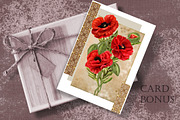 Set. Red poppies, an Illustration by SokolovaSv (Thumbnail 4 of 4)