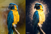 Artistic Photoshop - Actions Bundle, an Action Add-On by Willa (Thumbnail 37 of 40)