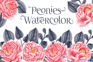 peonies watercolor set collection