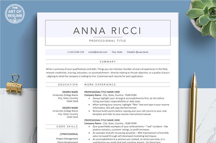 Executive Resume CV & Cover Letter