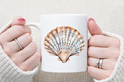Seashell Clipart Ocean Sketch Set, an Illustration by Sublimation Artist (Thumbnail 5 of 6)