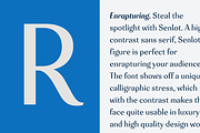 Senlot, a Sans Serif Font by insigne (Thumbnail 4 of 5)