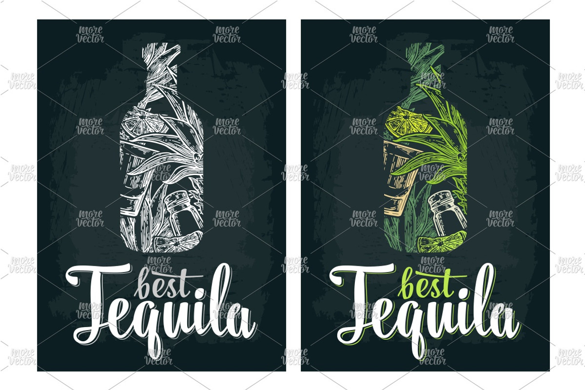 Tequila. Illustrations and posters, an Illustration by MoreVector (Photo 7 of 11)