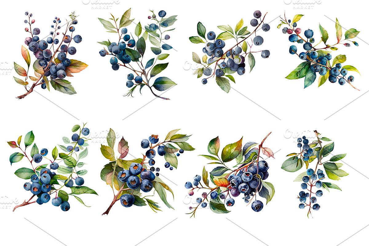 Blueberry Pie, Watercolor clipart., a Person Illustration by AkvarelRiver (Photo 2 of 4)
