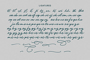 Marielle Brush Script, a Handwritten Font by Letterhend Studio (Thumbnail 8 of 10)