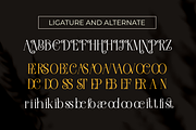 Braxttile Elegant Serif Font, a Script Font by Graphicxell (Thumbnail 8 of 9)