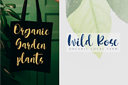 Fresh Garden Script Font, a Script Font by Epiclinez (Thumbnail 4 of 5)